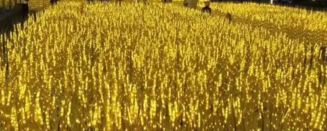 熠熠发光的意思 熠熠发光是什么意思