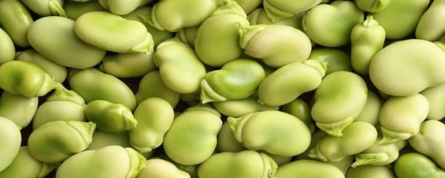 蚕豆冷冻保存的方法 蚕豆怎么冷冻保存