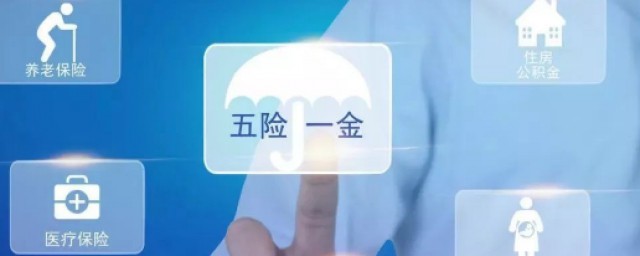 农村户口社保怎样交 农村户口社保如何办理