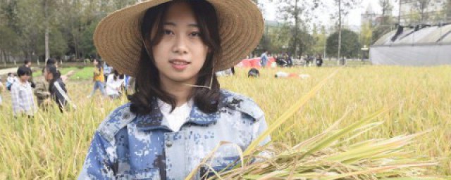 面对粮食问题大学生要怎么做 珍惜粮食从我做起的措施