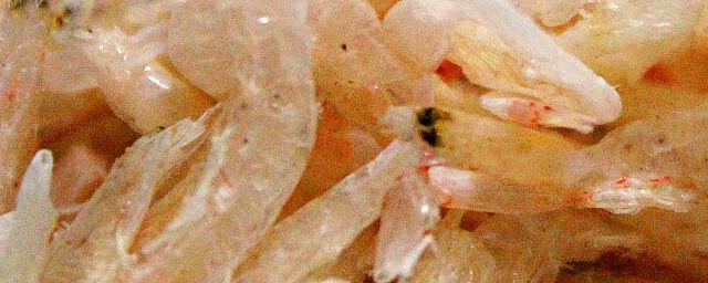 虾粉怎么吃 虾粉如何吃