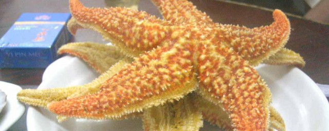 海星的食用方法 海星怎么食用