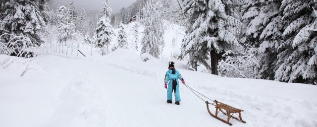 滑雪方式初学者双板 初学者双板滑雪办法简介