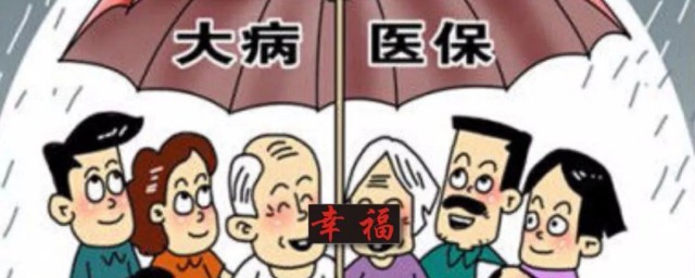 怎么办大病医保 如何办大病医保