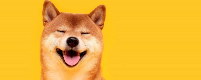 双十一搞笑文案 关于双十一搞笑文案