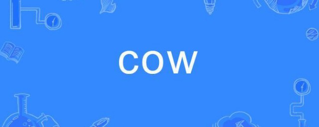cow是什么意思 cow应该如何读