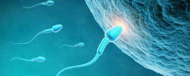 吃了精子会如何样 吃了精子结果