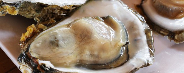 海蛎豆腐汤家常做法 怎么做海蛎豆腐汤