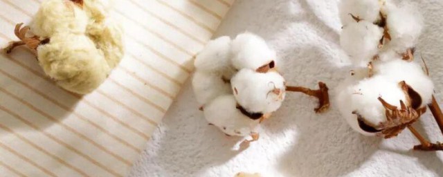 棉花是如何做成衣服的全部过程 棉花怎么做成衣服的全部过程