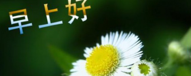 最好的祝愿给你用英语怎么说 祝福语优美的英文句子