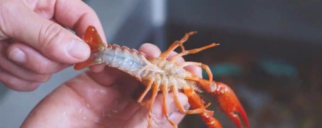 如何清洗虾 怎么清洗虾