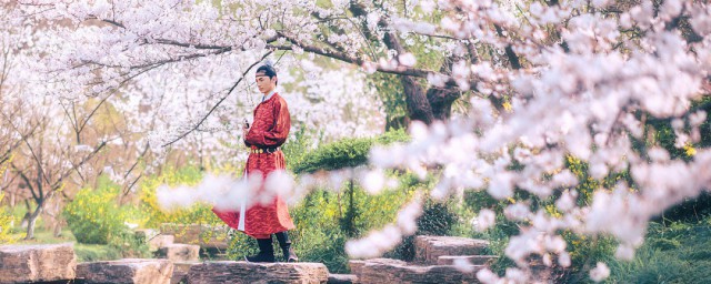 落花时节又逢君小说 落花时节又逢君小说简介