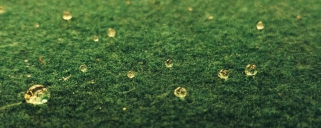 我听见雨滴落在青青草地是什么梗 我听见雨滴落在青青草地的解释