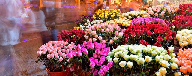 父亲节送花送什么花 父亲节应该送什么花?