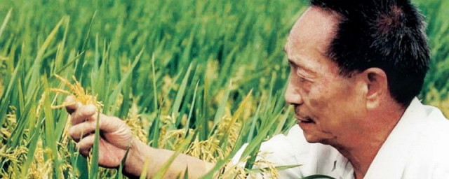 名人对袁隆平评价的句子 袁隆平个人介绍