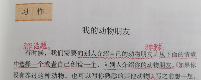 我的动物朋友内容介绍是什么 我的动物朋友内容介绍简介