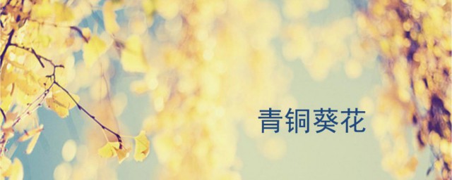 青铜葵花主要内容是什么 青铜葵花主要内容介绍