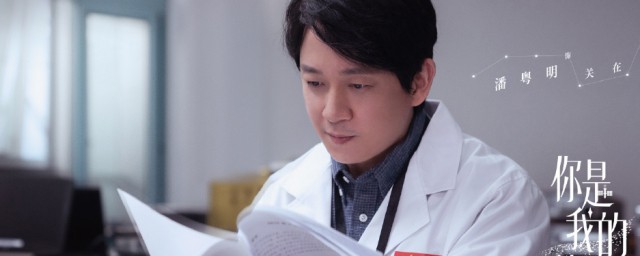 你是我的荣耀小说 你是我的荣耀电视剧简介