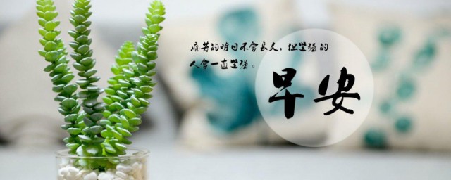 适合早安的短句 适合早安句子