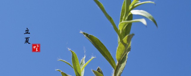 5月5日是什么日子 立夏简介