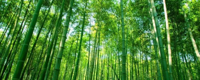 龙吟风哕什么意思 龙吟风哕造句