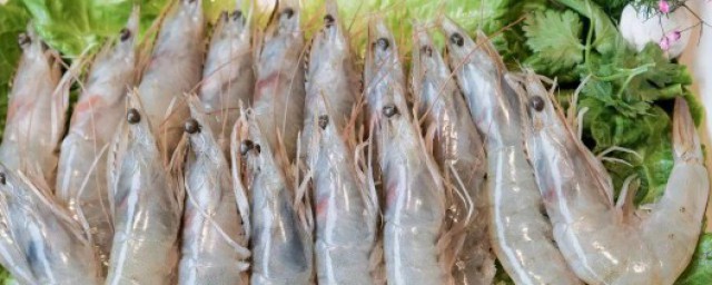 虾与牛奶能同食吗 虾的营养价值