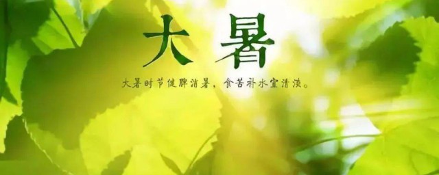 三伏天应该如何养生 三伏天养生方法