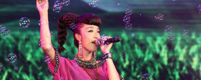 旺姆个人资料 旺姆个人资料介绍