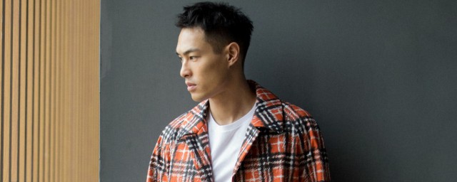 杨佑宁个人资料 关于杨佑宁的介绍