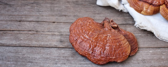 灵芝汤的做法大全 灵芝汤的烹饪方法