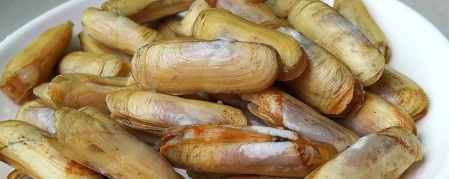 蛏子如何处理内脏 蛏子处理内脏的办法