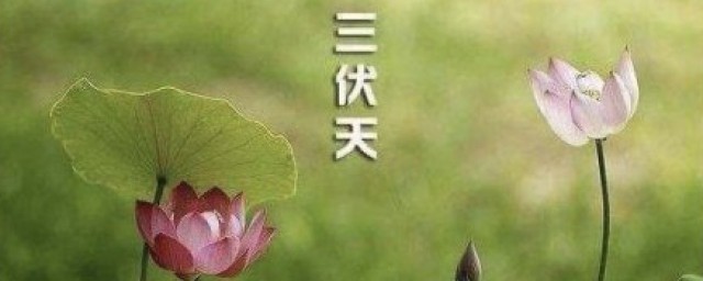 2021年入伏时间 什么是三伏天