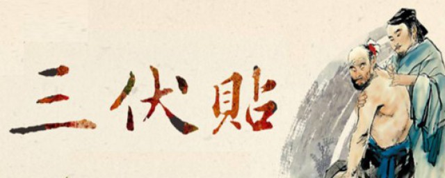 三伏天怎样调理肠胃 三伏天的简介