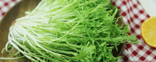 苦菊的种植方法和时间 苦菊如何种植