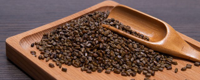决明子种植方法 怎么种植决明子
