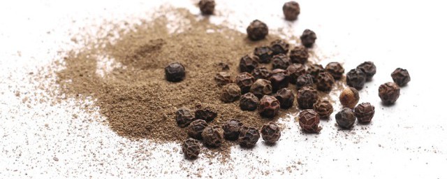 麻椒树种子的种植方式 麻椒树种子种植办法