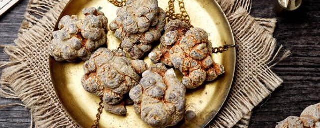 三七种子怎么种植方法 三七种子如何种植