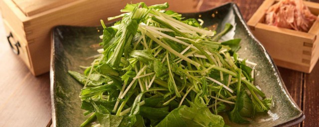 水菜的种植方法 水菜怎么种植