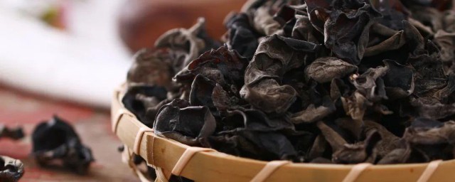 木耳的功效与禁忌 关于木耳的功效与禁忌
