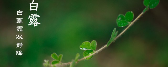 白露节气的诗词 关于白露节气的诗词