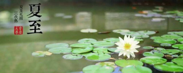 夏至节气特点 夏至节气有何特点