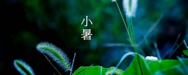 小暑诗句 小暑诗句有哪些呢