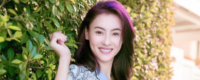 张柏芝资料 张柏芝个人资料简单介绍