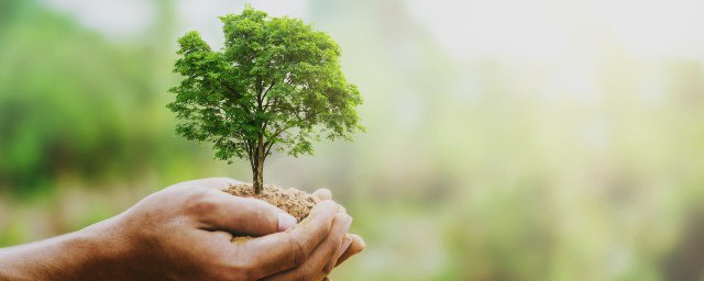 关于环境保护的资料 关于环境保护的相关知识