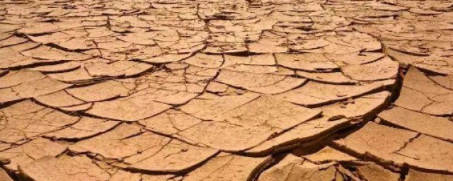 土地荒漠化类型及成因 荒漠化的防治
