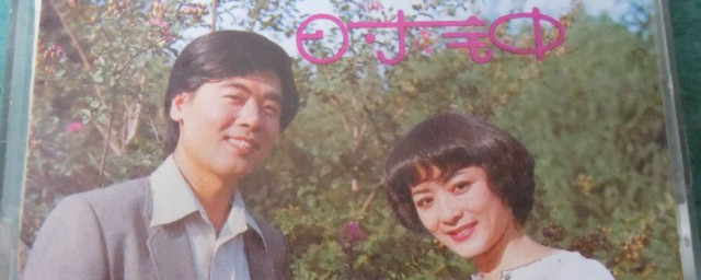 王洁实个人资料 王洁实个人介绍