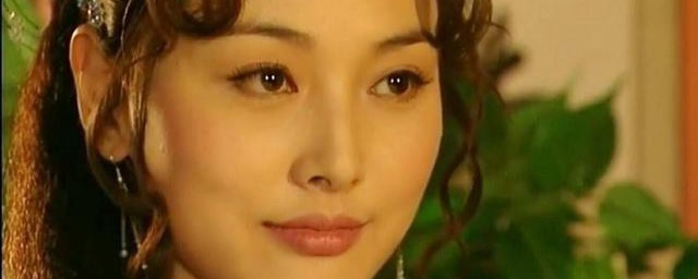 张廷的个人资料 张廷的个人介绍