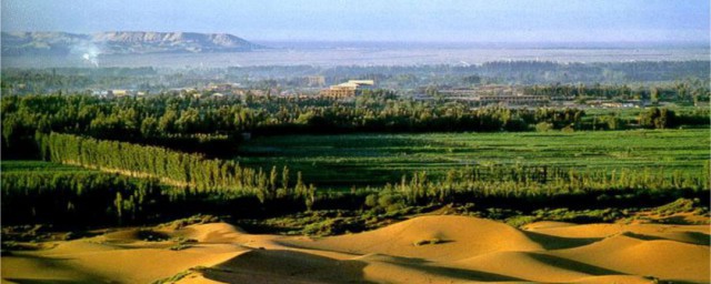 土地荒漠化治理措施 土地荒漠化治理措施是什么
