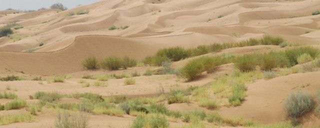 毛乌素沙地荒漠化成因 毛乌素沙地荒漠化原因