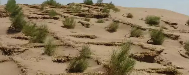 荒漠化沙漠化石漠化区别含义 荒漠化沙漠化石漠化区别简介